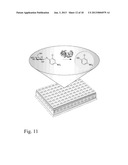 GLYCOSYLTRANSFERASE REVERSIBILITY FOR SUGAR NUCLEOTIDE SYNTHESIS AND     MICROSCALE SCANNING diagram and image