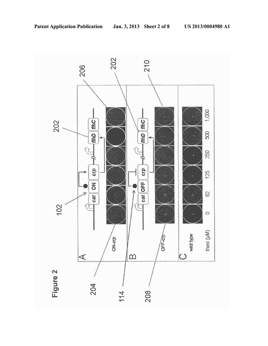 TWO-WAY, PORTABLE RIBOSWITCH MEDIATED GENE EXPRESSION CONTROL DEVICE - diagram, schematic, and image 03