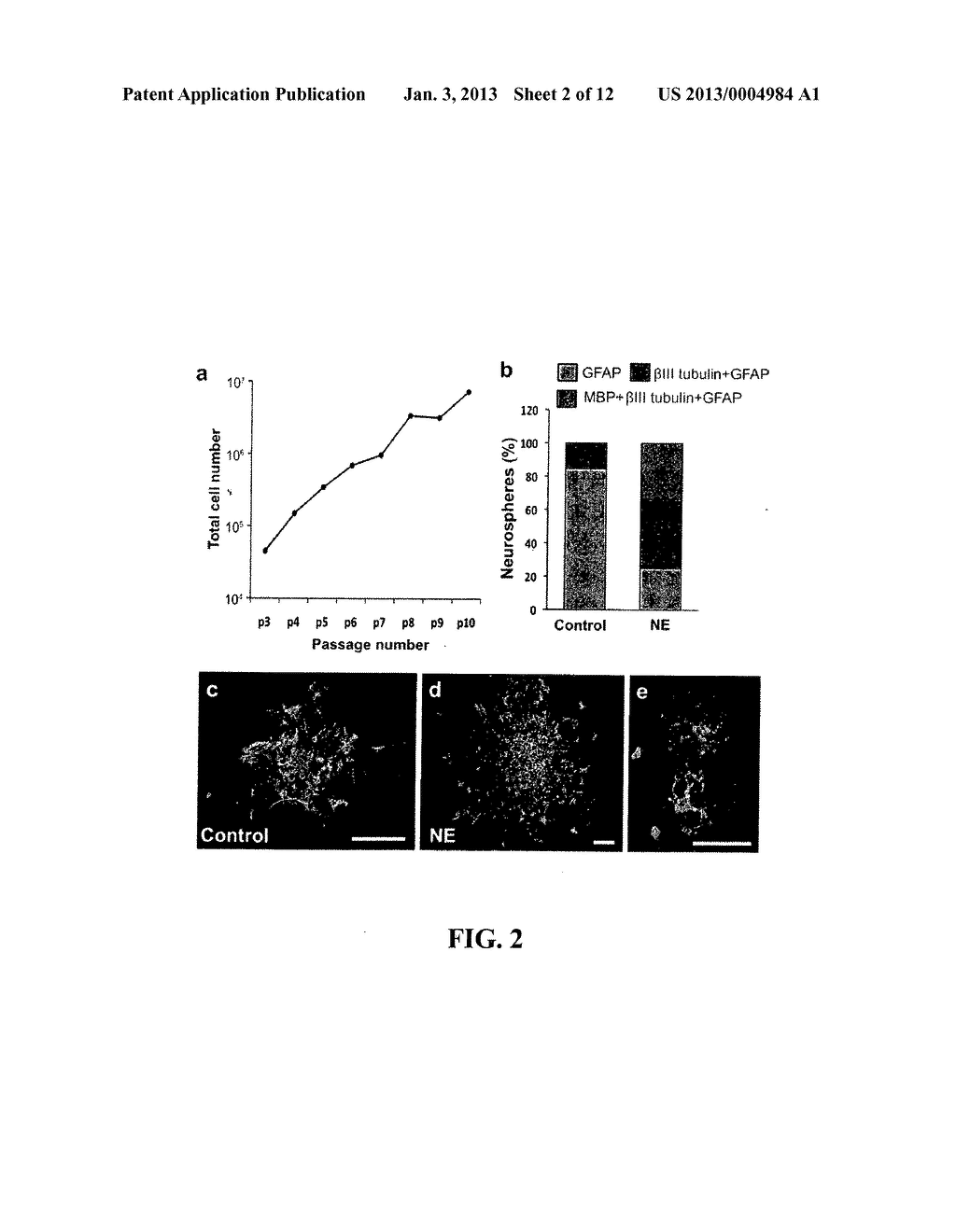 NEURONAL STIMULATION - diagram, schematic, and image 03