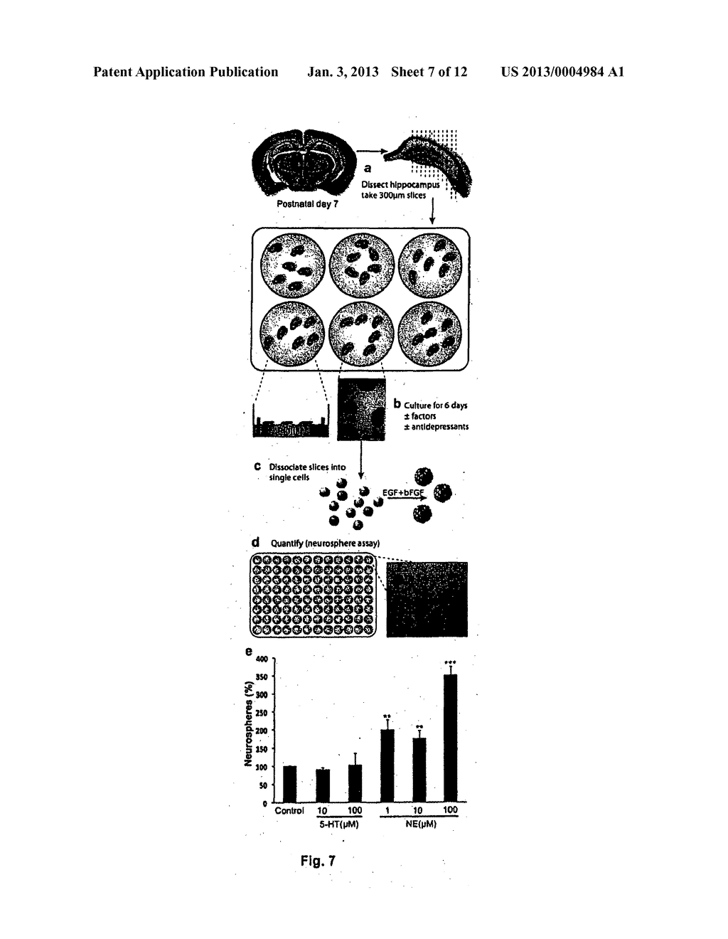 NEURONAL STIMULATION - diagram, schematic, and image 08