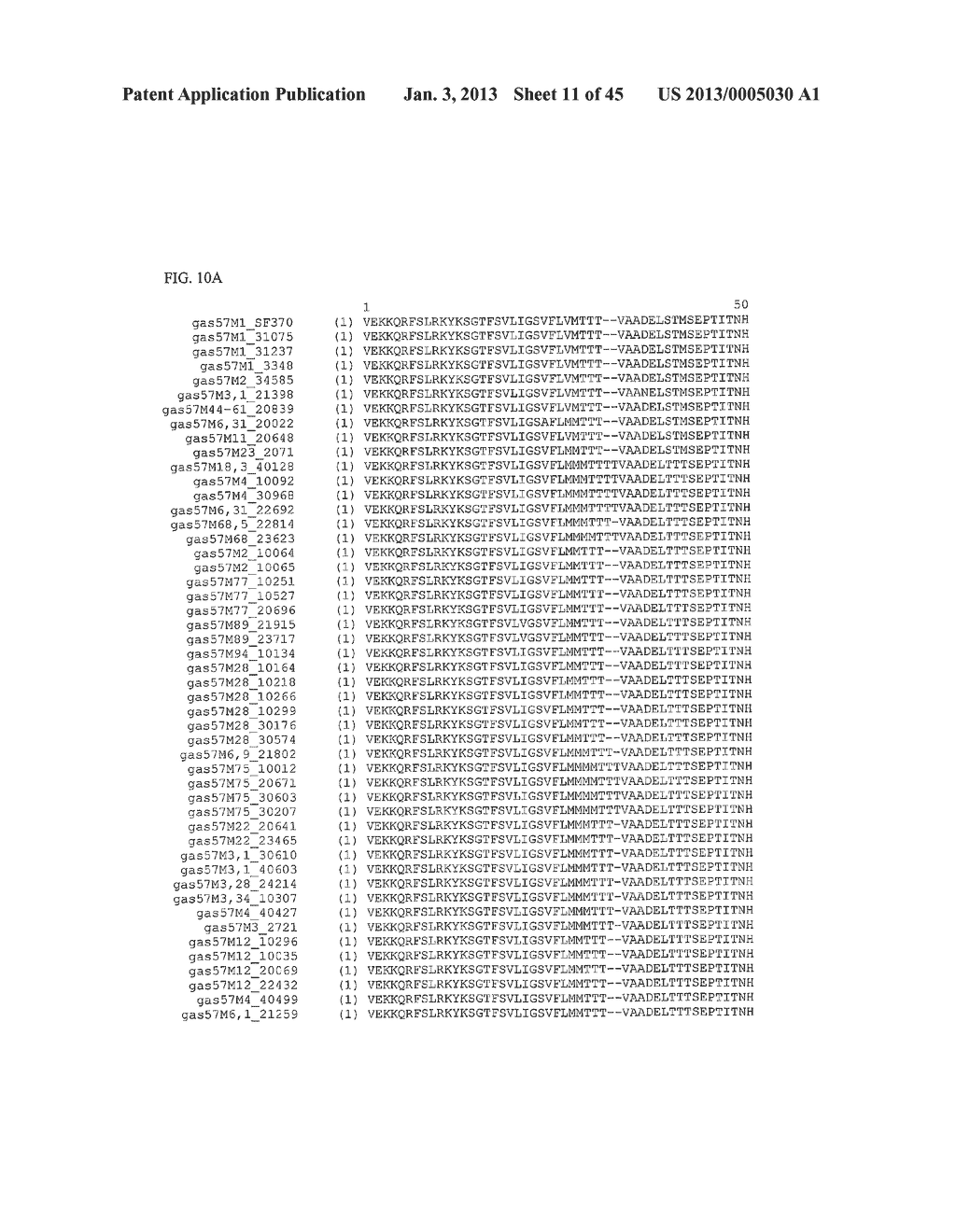 GAS57 MUTANT ANTIGENS AND GAS57 ANTIBODIES - diagram, schematic, and image 12