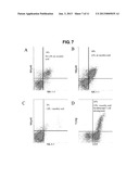 METHODS FOR GENERATING T LYMPHOCYTES FROM HEMATOPOIETIC STEM CELLS diagram and image