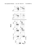 METHODS FOR GENERATING T LYMPHOCYTES FROM HEMATOPOIETIC STEM CELLS diagram and image