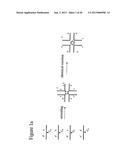 STRUCTURAL NUCLEIC ACID GUIDED CHEMICAL SYNTHESIS diagram and image