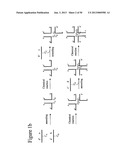 STRUCTURAL NUCLEIC ACID GUIDED CHEMICAL SYNTHESIS diagram and image