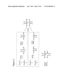 STRUCTURAL NUCLEIC ACID GUIDED CHEMICAL SYNTHESIS diagram and image