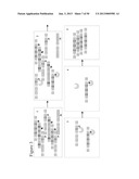 STRUCTURAL NUCLEIC ACID GUIDED CHEMICAL SYNTHESIS diagram and image