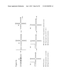 STRUCTURAL NUCLEIC ACID GUIDED CHEMICAL SYNTHESIS diagram and image