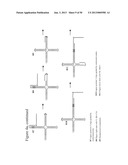 STRUCTURAL NUCLEIC ACID GUIDED CHEMICAL SYNTHESIS diagram and image