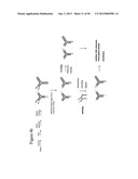 STRUCTURAL NUCLEIC ACID GUIDED CHEMICAL SYNTHESIS diagram and image