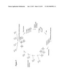 STRUCTURAL NUCLEIC ACID GUIDED CHEMICAL SYNTHESIS diagram and image