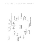 STRUCTURAL NUCLEIC ACID GUIDED CHEMICAL SYNTHESIS diagram and image