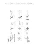 STRUCTURAL NUCLEIC ACID GUIDED CHEMICAL SYNTHESIS diagram and image