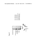 STRUCTURAL NUCLEIC ACID GUIDED CHEMICAL SYNTHESIS diagram and image