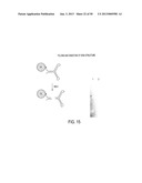 STRUCTURAL NUCLEIC ACID GUIDED CHEMICAL SYNTHESIS diagram and image