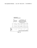 STRUCTURAL NUCLEIC ACID GUIDED CHEMICAL SYNTHESIS diagram and image