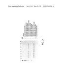 STRUCTURAL NUCLEIC ACID GUIDED CHEMICAL SYNTHESIS diagram and image