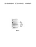 STRUCTURAL NUCLEIC ACID GUIDED CHEMICAL SYNTHESIS diagram and image