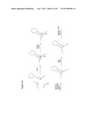 STRUCTURAL NUCLEIC ACID GUIDED CHEMICAL SYNTHESIS diagram and image