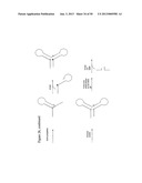 STRUCTURAL NUCLEIC ACID GUIDED CHEMICAL SYNTHESIS diagram and image