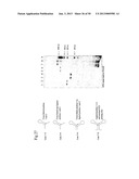 STRUCTURAL NUCLEIC ACID GUIDED CHEMICAL SYNTHESIS diagram and image