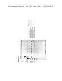 STRUCTURAL NUCLEIC ACID GUIDED CHEMICAL SYNTHESIS diagram and image