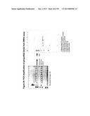 STRUCTURAL NUCLEIC ACID GUIDED CHEMICAL SYNTHESIS diagram and image