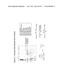 STRUCTURAL NUCLEIC ACID GUIDED CHEMICAL SYNTHESIS diagram and image