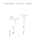 STRUCTURAL NUCLEIC ACID GUIDED CHEMICAL SYNTHESIS diagram and image