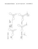 STRUCTURAL NUCLEIC ACID GUIDED CHEMICAL SYNTHESIS diagram and image