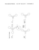 STRUCTURAL NUCLEIC ACID GUIDED CHEMICAL SYNTHESIS diagram and image