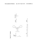 STRUCTURAL NUCLEIC ACID GUIDED CHEMICAL SYNTHESIS diagram and image