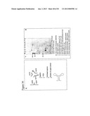 STRUCTURAL NUCLEIC ACID GUIDED CHEMICAL SYNTHESIS diagram and image