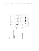 STRUCTURAL NUCLEIC ACID GUIDED CHEMICAL SYNTHESIS diagram and image