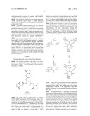 STRUCTURAL NUCLEIC ACID GUIDED CHEMICAL SYNTHESIS diagram and image