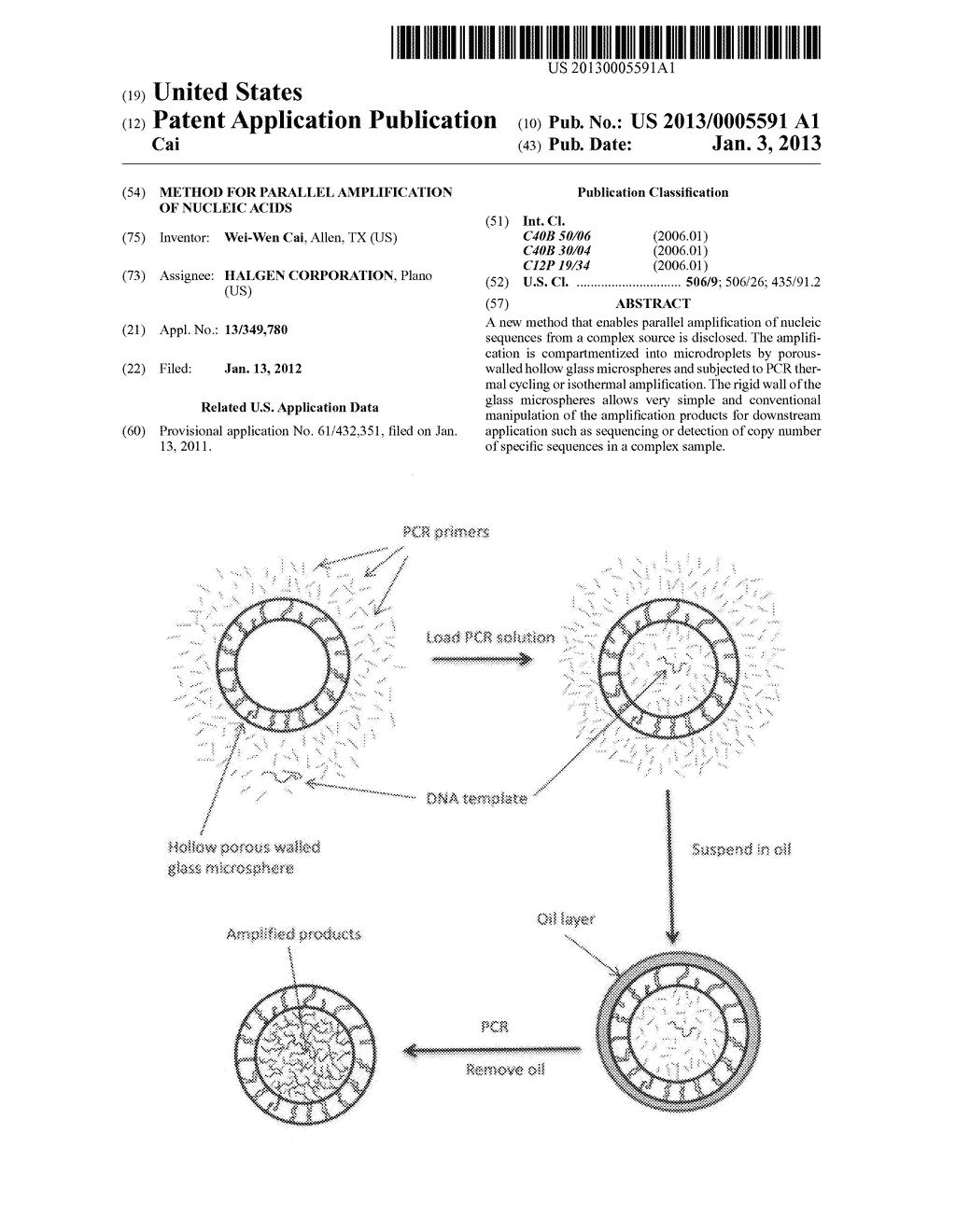 METHOD FOR PARALLEL AMPLIFICATION OF NUCLEIC ACIDS - diagram, schematic, and image 01