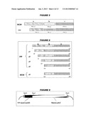 HETEROLOGOUS EXPRESSION OF NEISSERIAL PROTEINS diagram and image