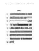 HETEROLOGOUS EXPRESSION OF NEISSERIAL PROTEINS diagram and image