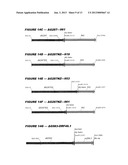 HETEROLOGOUS EXPRESSION OF NEISSERIAL PROTEINS diagram and image