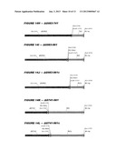 HETEROLOGOUS EXPRESSION OF NEISSERIAL PROTEINS diagram and image