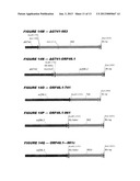 HETEROLOGOUS EXPRESSION OF NEISSERIAL PROTEINS diagram and image