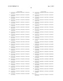 HETEROLOGOUS EXPRESSION OF NEISSERIAL PROTEINS diagram and image