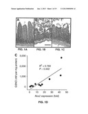 S-NITROSYLATION OF GLUCOSYLATING TOXINS AND USES THEREFOR diagram and image