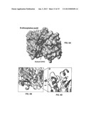 S-NITROSYLATION OF GLUCOSYLATING TOXINS AND USES THEREFOR diagram and image