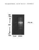 S-NITROSYLATION OF GLUCOSYLATING TOXINS AND USES THEREFOR diagram and image