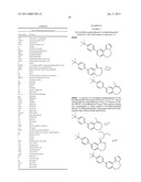 FUSED HETEROCYCLIC COMPOUNDS AS ION CHANNEL MODULATORS diagram and image