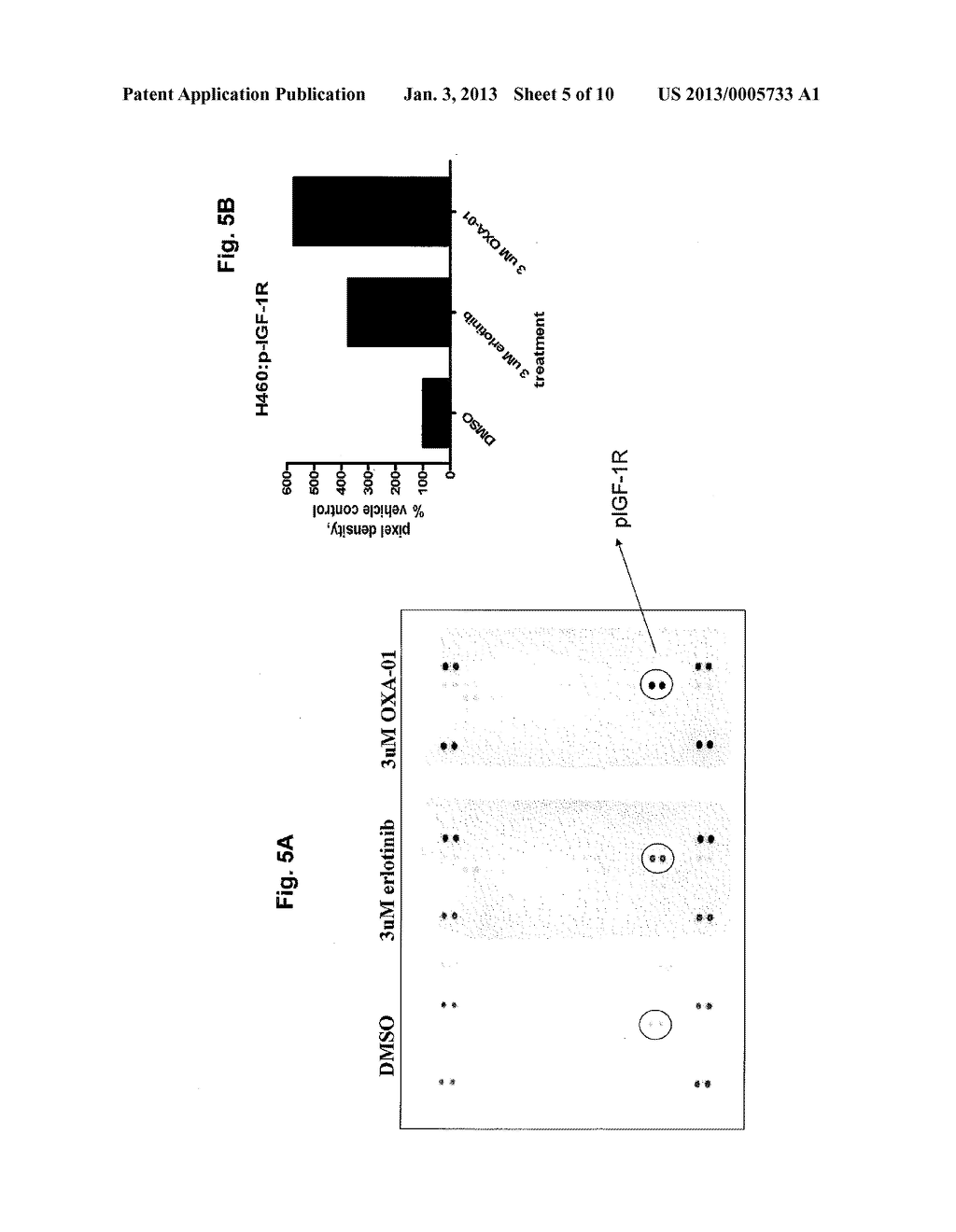 COMBINATION ANTI-CANCER THERAPY - diagram, schematic, and image 06