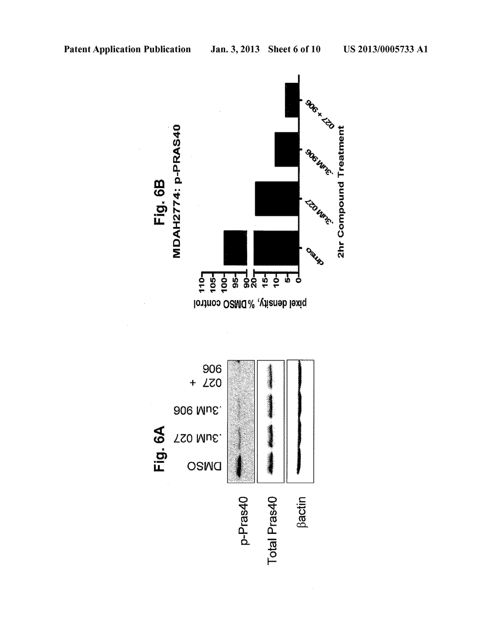 COMBINATION ANTI-CANCER THERAPY - diagram, schematic, and image 07