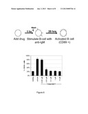 INHIBITORS OF BRUTONS TYROSINE KINASE FOR THE TREATMENT OF SOLID TUMORS diagram and image