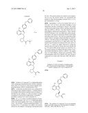 INHIBITORS OF BRUTONS TYROSINE KINASE FOR THE TREATMENT OF SOLID TUMORS diagram and image